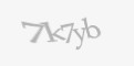 Защитный код