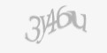 Защитный код