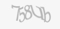 Защитный код