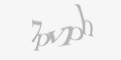 Защитный код