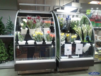 20141124_122124_1557922535