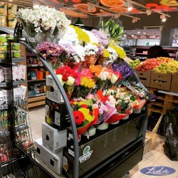 img_20191119_112326_784_1574156110